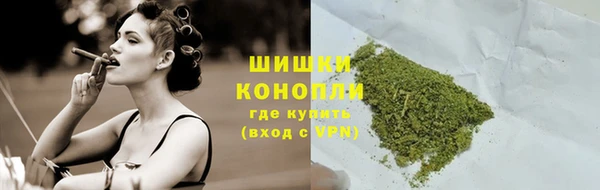 стаф Горнозаводск