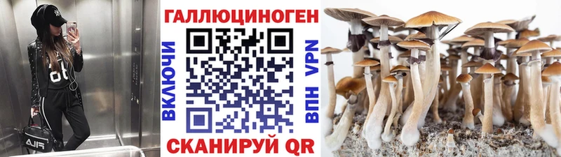 Псилоцибиновые грибы ЛСД  продажа наркотиков  Аркадак 